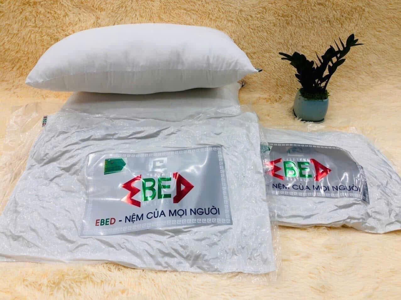 Ruột gối bông Ebed Dada 45x65cm