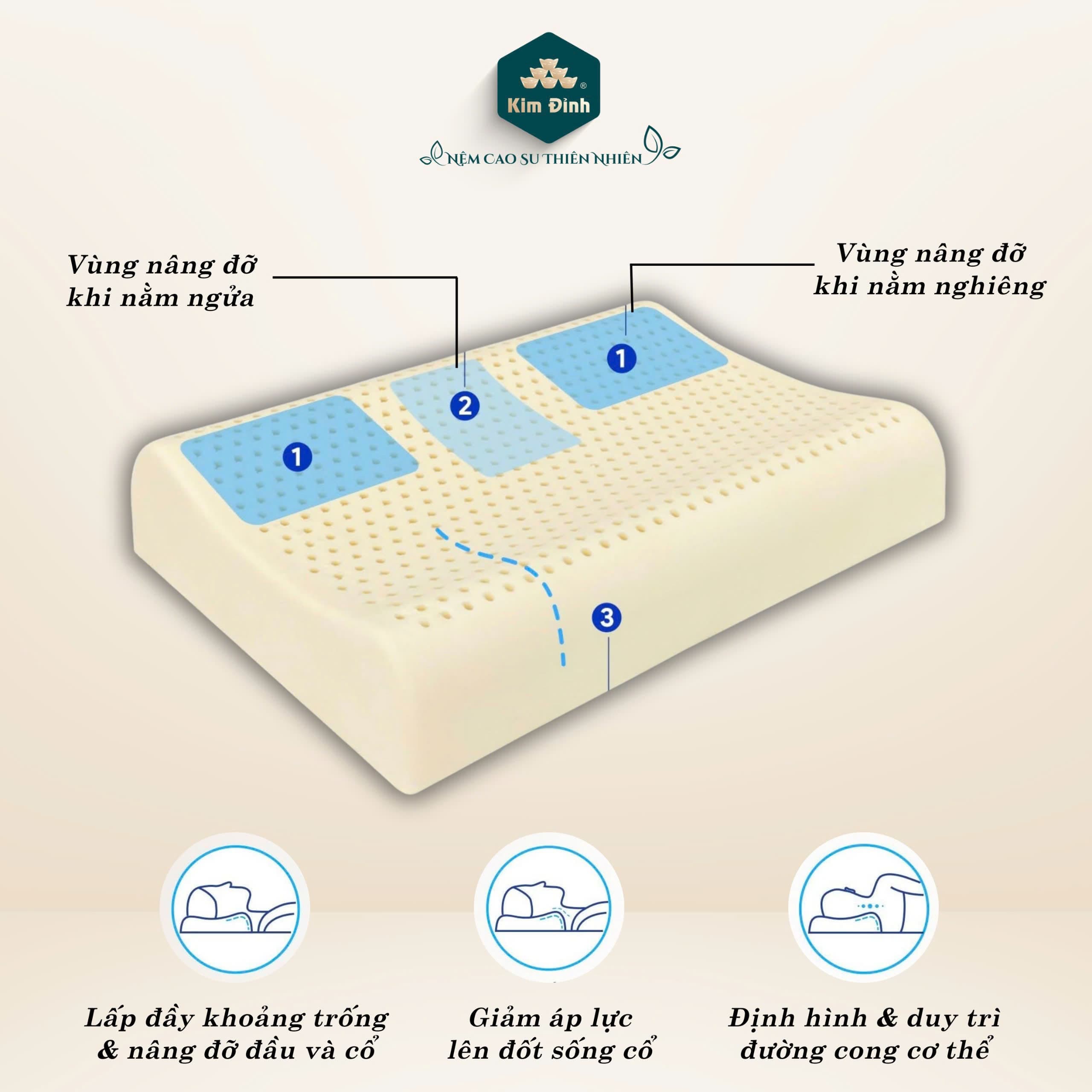 Ruột gối cao su thiên nhiên Kim Đỉnh, áo gối gấm kháng khuẩn cao cấp 40x60cm