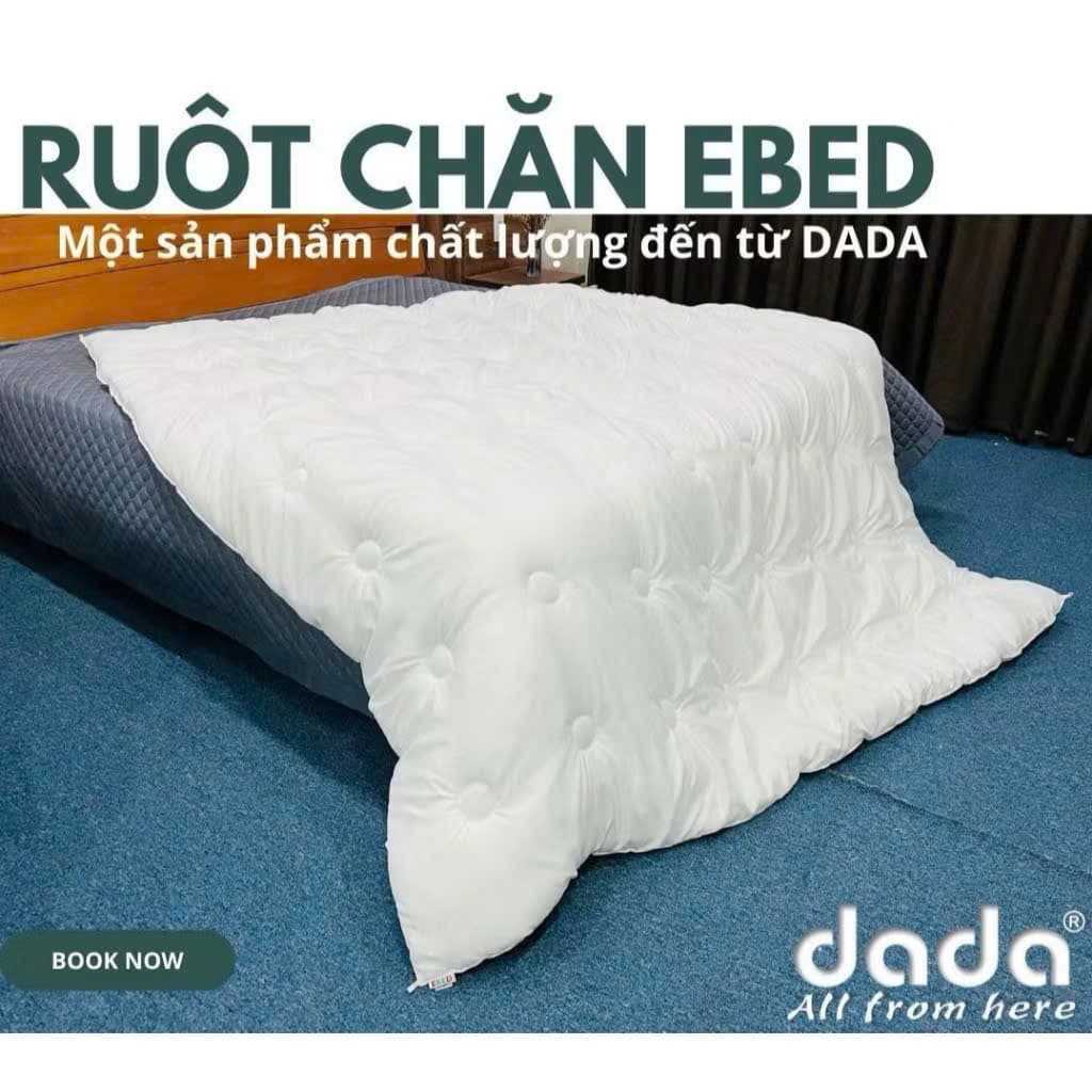 Ruột chăn đông Dada Ebed